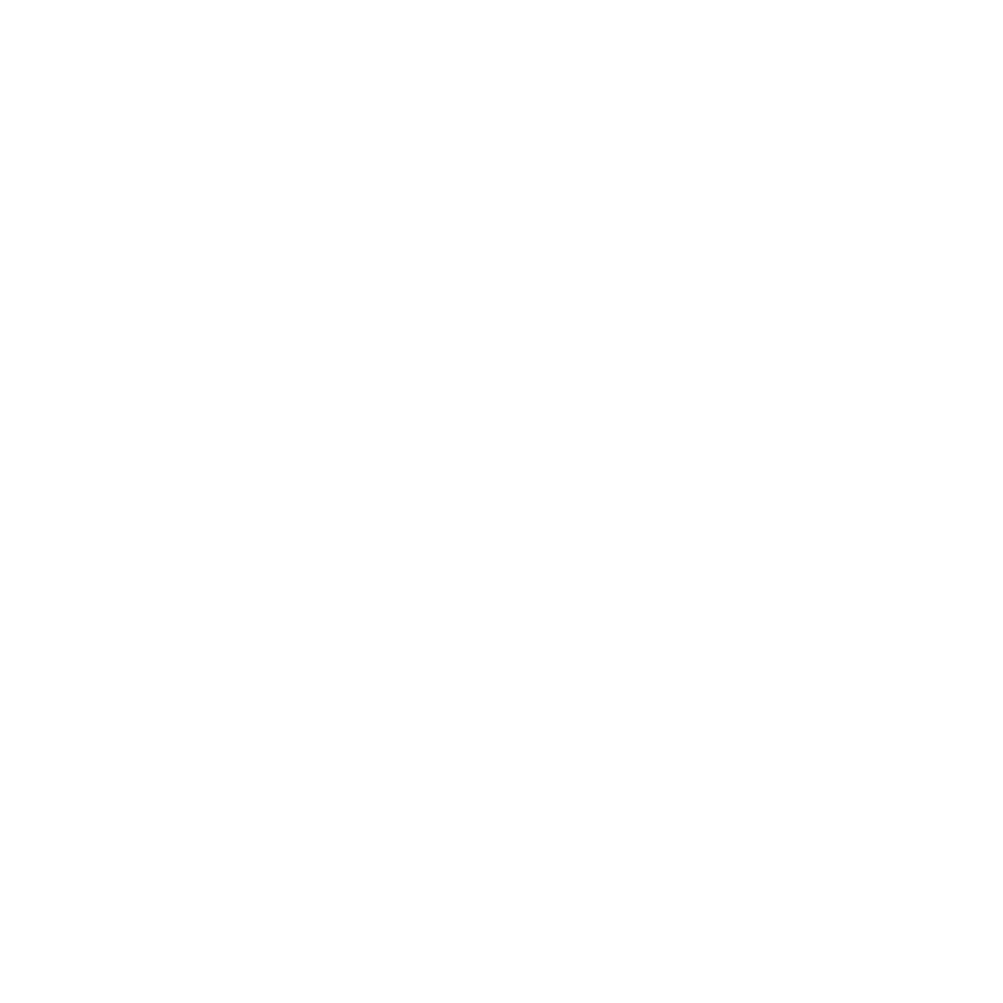 Johann Ober Portfolio